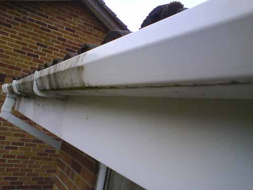 Full Gutter Cleanout, Downspout Flush & Ground Protection in Newtown, CT
